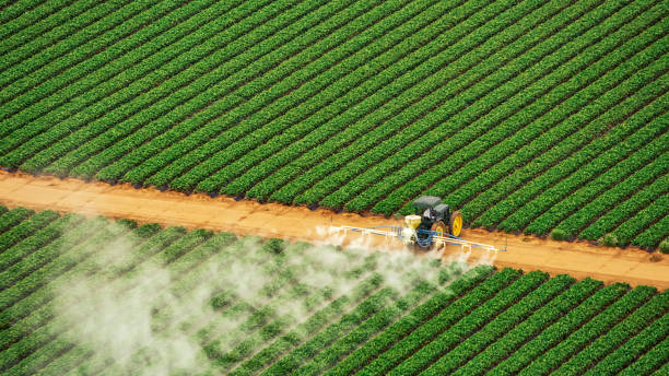 Best Commercial Pest Control Services  in Harrisburg, IL