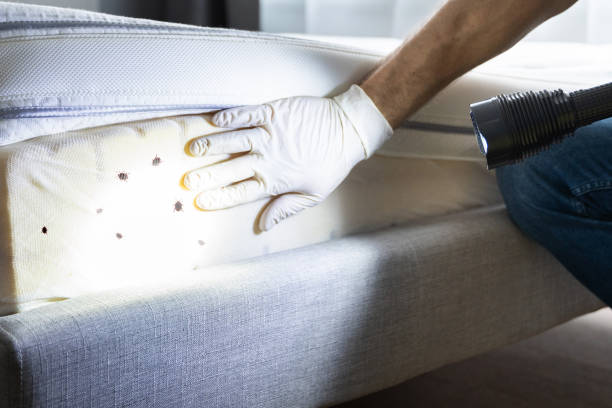 Best Wildlife Control Services  in Harrisburg, IL